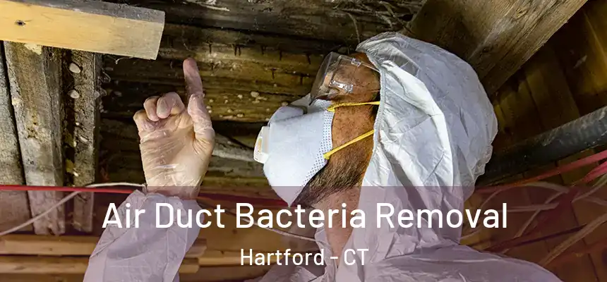  Air Duct Bacteria Removal Hartford - CT