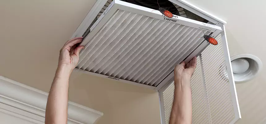 Our Insect Removal from Air Ducts Services in Hartford, CT