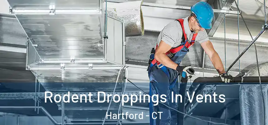 Rodent Droppings In Vents Hartford - CT