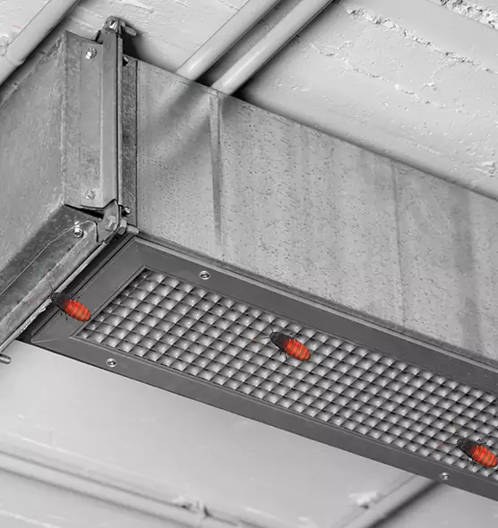 Affordable Insect Removal from Air Ducts in Hartford, CT