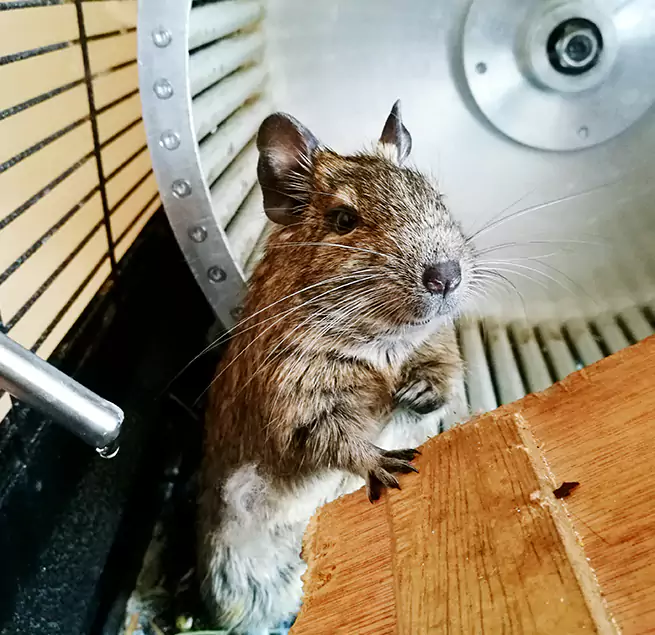 Why Homeowners & Businesses Trust Us Hartford, CT?